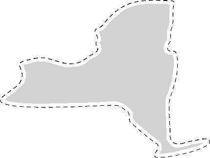 New York State Sticker