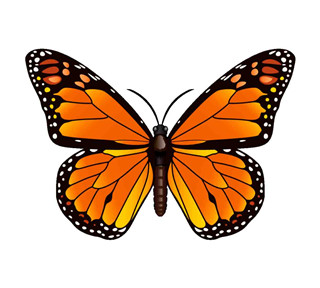 Orange Butterfly 2 Sticker