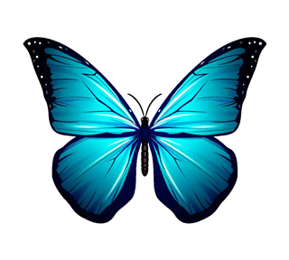 Blue Butterfly Sticker