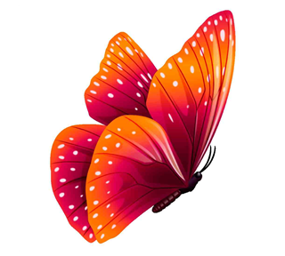 Orange and Pink Butterfly Sticker