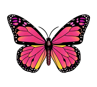 Pink Butterfly Sticker