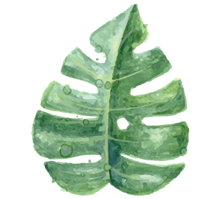 Tropical Leaf Sticker