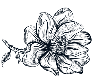 Ink Line Flower and Stem Sticker