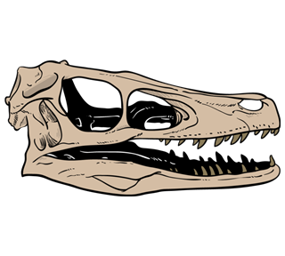Raptor Dinosaur Skull Sticker