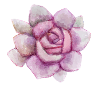 Purple Succulent Flower Sticker