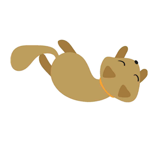 Rolling Cat Sticker