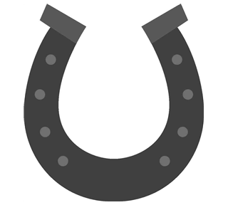 Texas Horseshoe Sticker