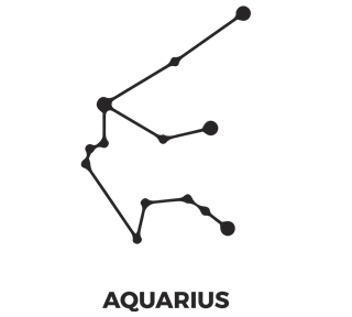 Zodiac Stars Aquarius Sticker