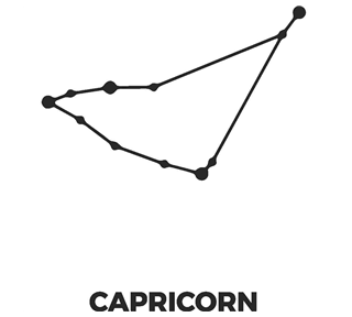 Zodiac Stars Capricorn Sticker