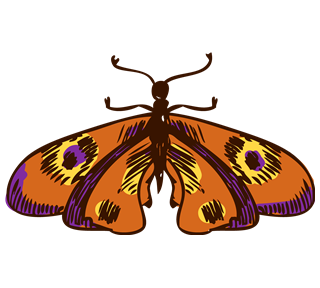 Butterfly Sketch Sticker
