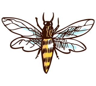 Bee Drawing 2 Sticker