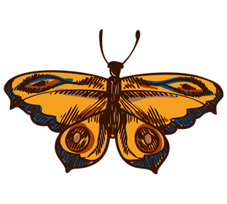 Sketched Butterfly Sticker