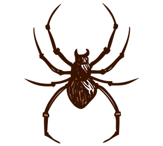 Spider Sticker