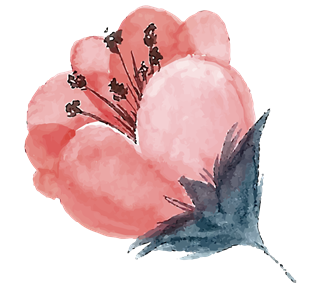 Pink Flower Top Sticker