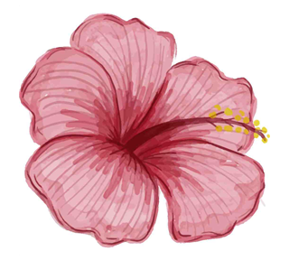 Pink Hibiscus Flower Sticker