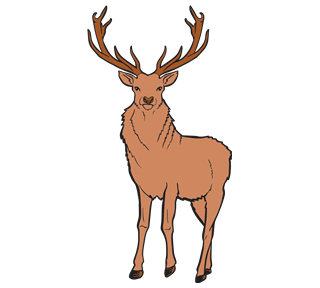 Reindeer Sticker