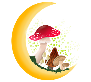Moon Shrooms Sticker