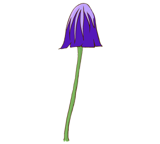 Purple Cap Mushroom Sticker