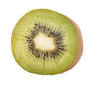 Kiwi Sliced Sticker