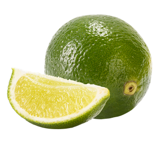 Lime Whole and Sliced Sticker