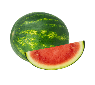 Watermelon Whole and Sliced Sticker