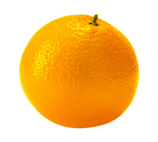 Orange Whole Sticker