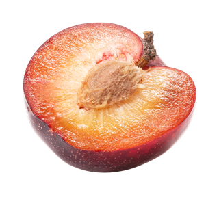 Plum Halved Sticker
