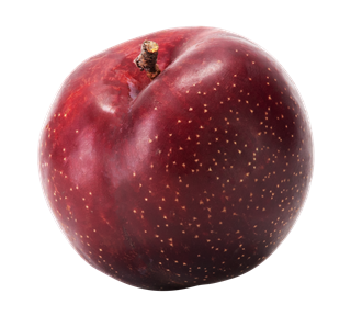 Plum Whole Sticker