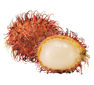 Rambutan Grouping Sticker