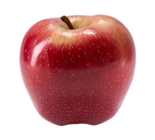 Red Apple Single Sticker