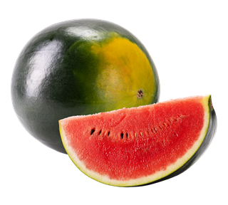Watermelon Whole Slice 2 Sticker