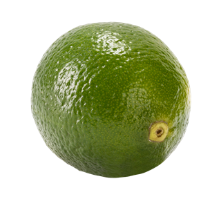 Lime Whole Sticker