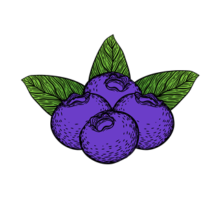 Blueberry Illustration Sticker