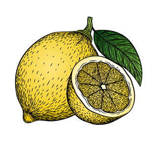 Lemon Illustration Sticker