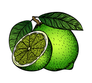 Lime Illustration Sticker