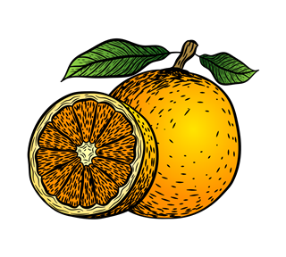 Orange Illustration Sticker