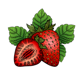Strawberry Illustration Sticker