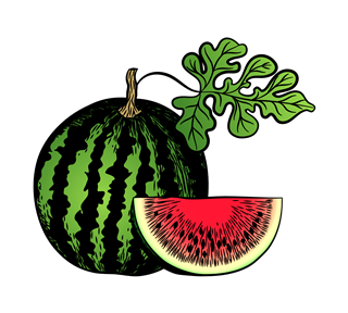 Watermelon Illustration Sticker