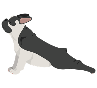 That Girl Dog Stretch Sticker