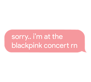 Sorry I am At The BlackPink Concert Rn Sticker