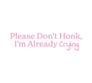 Please Do not Honk, I am Already Crying Sticker