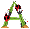 A_ladybugs
