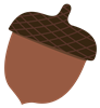 acorn