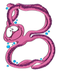 B_octopus
