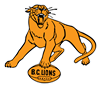 BC Lions Retro