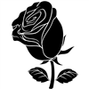 Black Rose Flower Stem