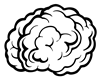 brain