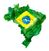 brazil flag_Artboard 238.png
