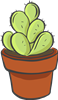 Cacti 1