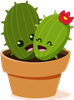 Cacti 2